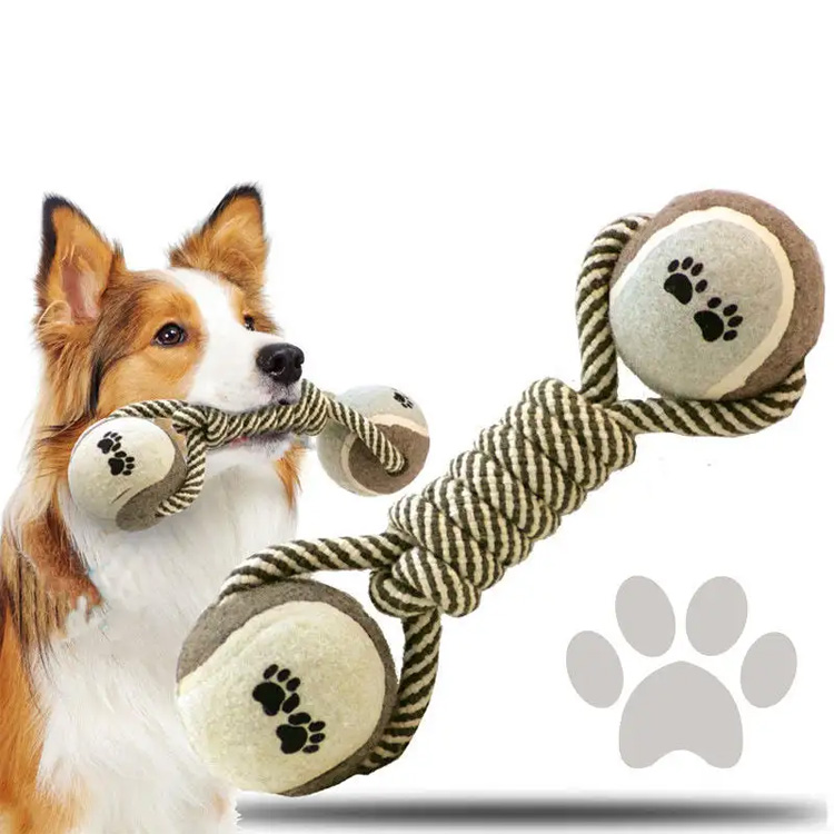 ¿Están saludables para perros para perros?