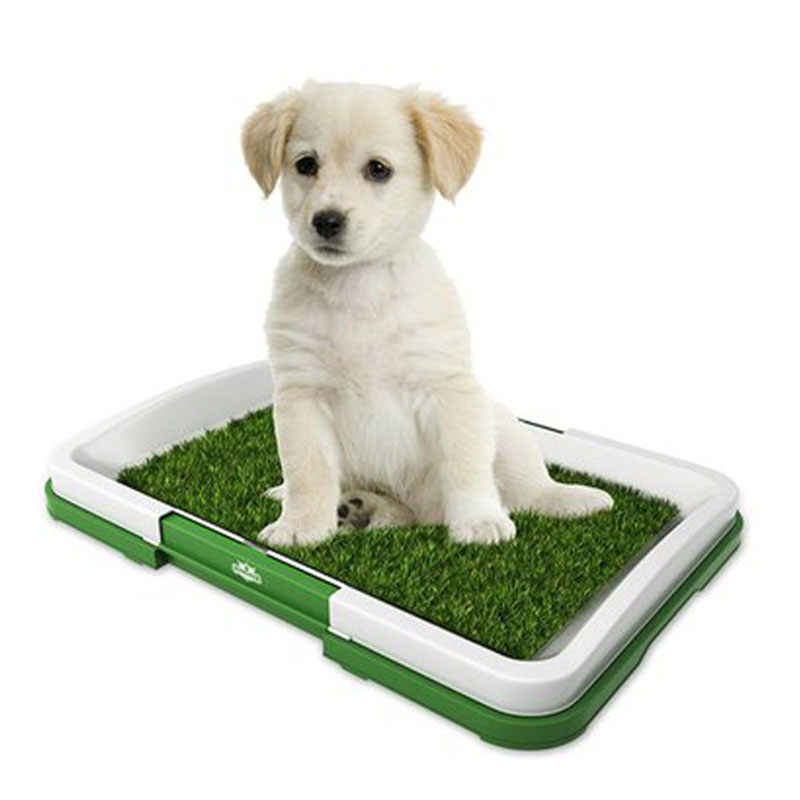 Grass Mat - Bandeja para baño interior para mascotas