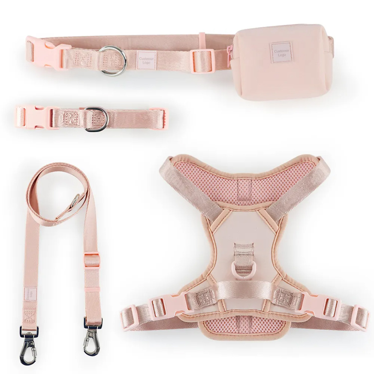 Juego de chalecos Arnés acolchado ajustable con collar y correa